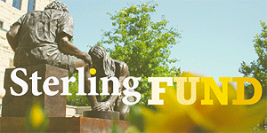 View SC's 2010-2011 Sterling Fund report